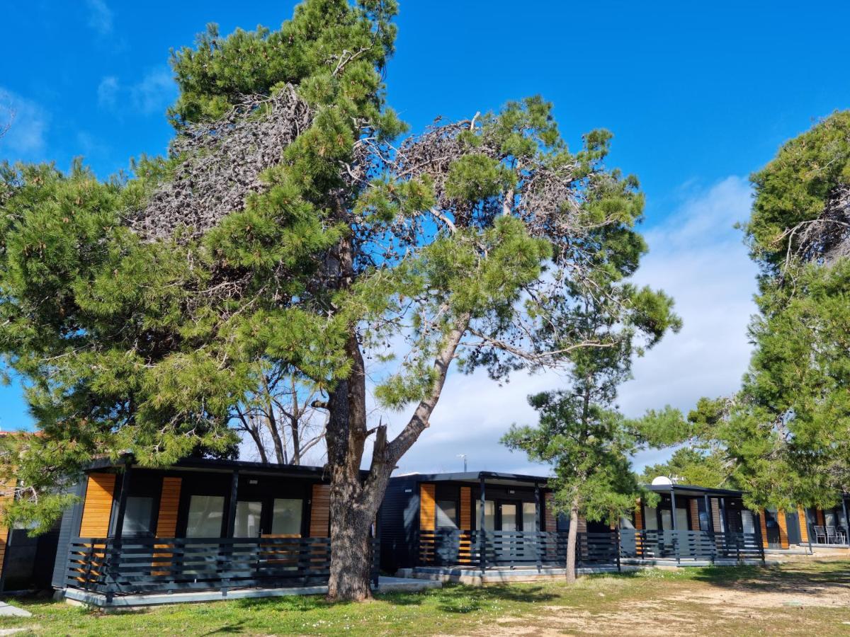 K9 Mobile Home Camp Dalmacija Privlaka 普利拉卡 外观 照片