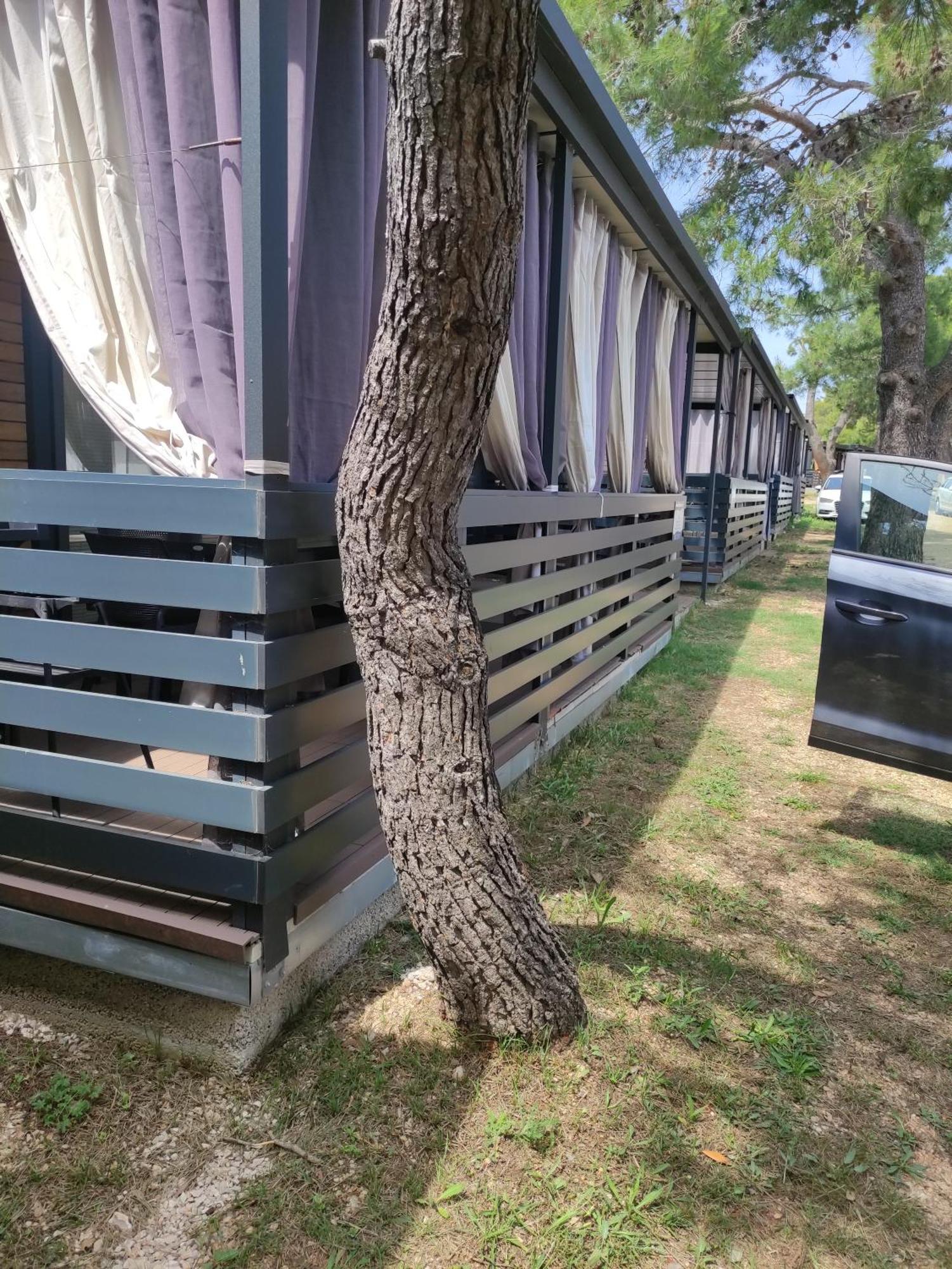 K9 Mobile Home Camp Dalmacija Privlaka 普利拉卡 外观 照片